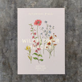 Bee-Friendly Wildflower Meadow Seeds