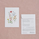 Bee-Friendly Wildflower Meadow Seeds