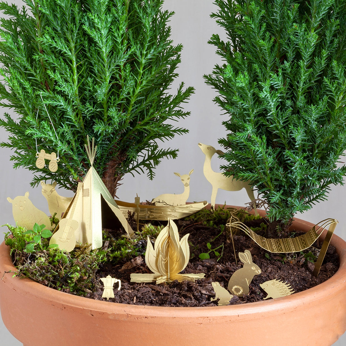 Tiny Camping for Plants