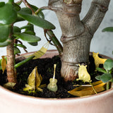 Tiny Camping for Plants