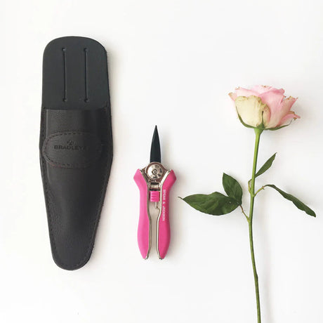 Floral shears with black sheath and pink handle next to a rose on a white background
