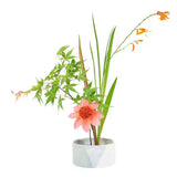 Fuji Japanese Flower Arranging Bowl
