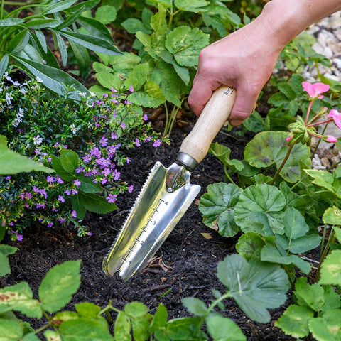 RHS Weeding Trowel