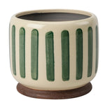 Indoor Green Stripe 16cm Pot