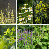Soothing Garden Gift Box