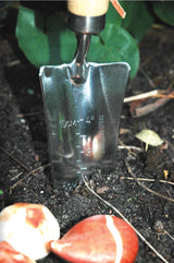 Transplanter