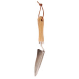 Transplanter