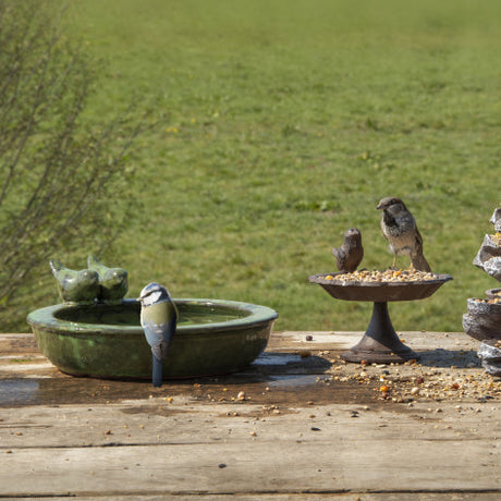 green ceramic bird bath bowl with ceramic birds on edge