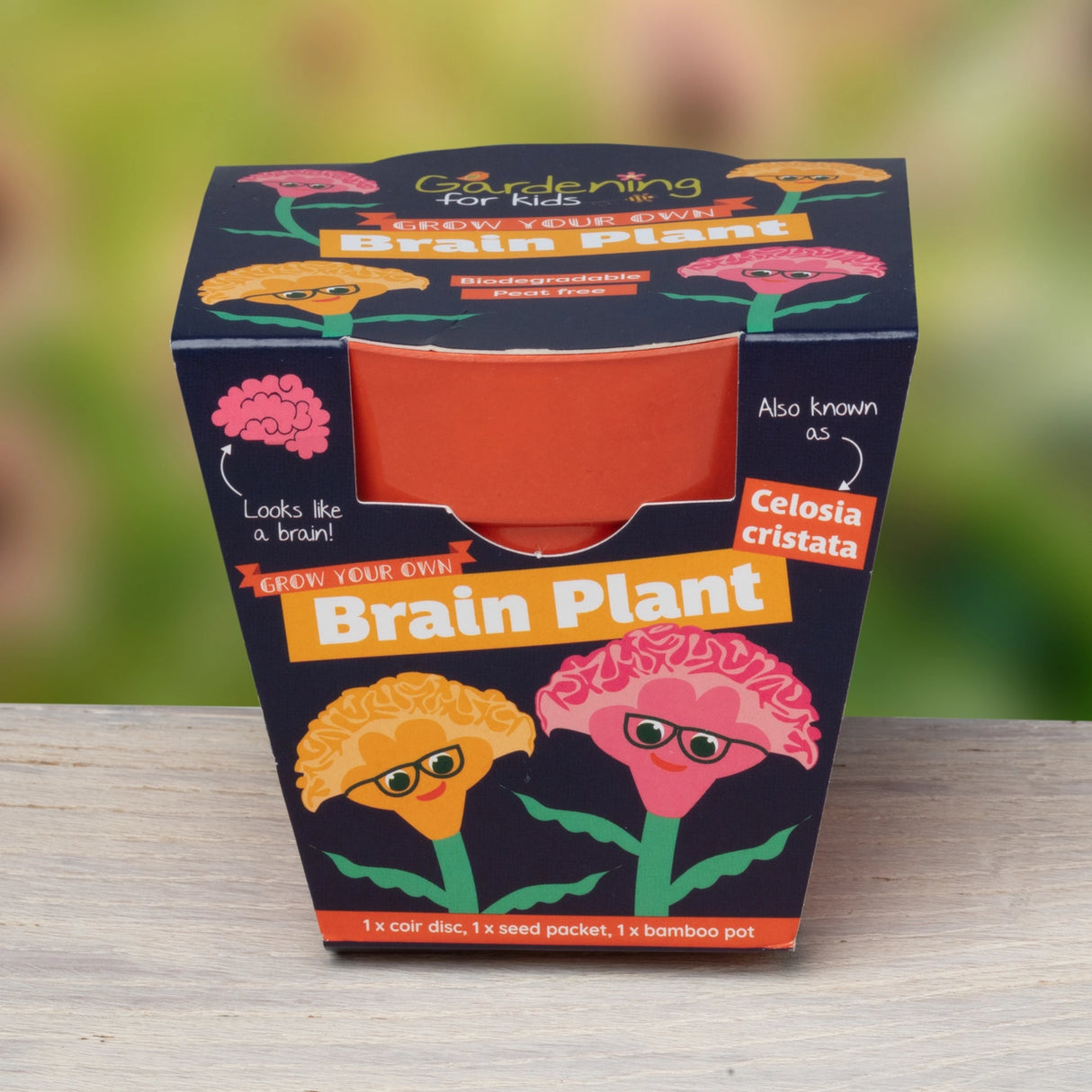 Grow Your Own Brain Indoor Plant