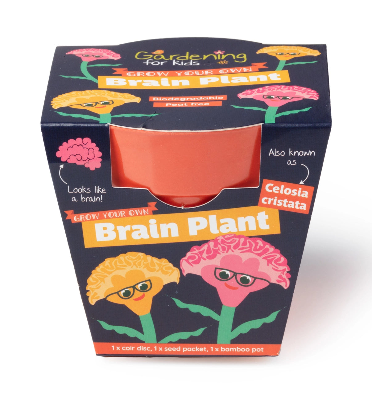 Grow Your Own Brain Indoor Plant