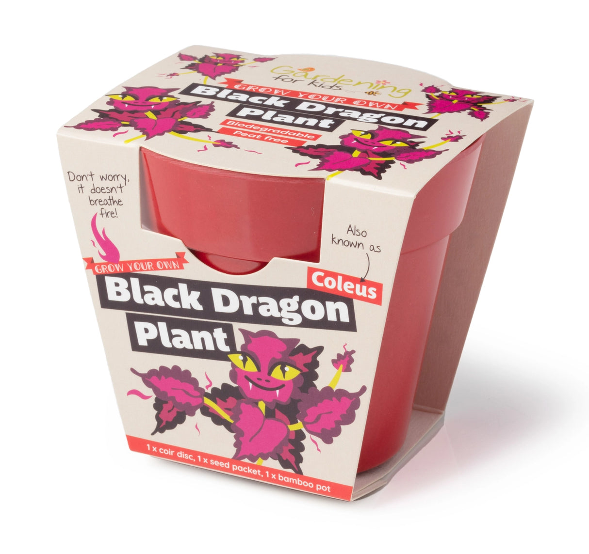 Grow Your Own Black Dragon Indoor Plant