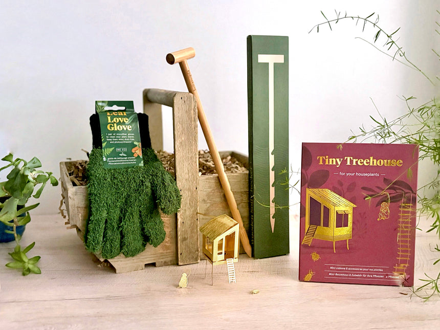 Happy Houseplants Care Kit Hamper