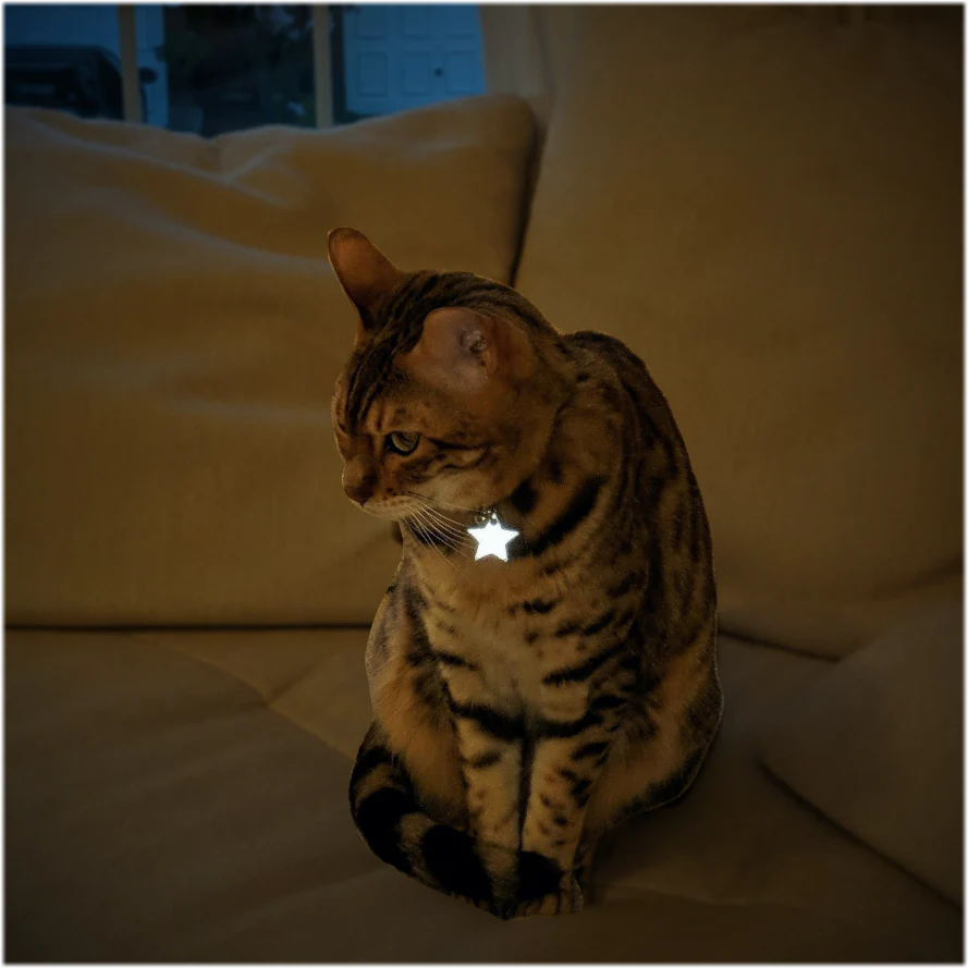 Cat Reflective Collar Charm - Ninja