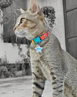 Cat Reflective Collar Charm - Ninja