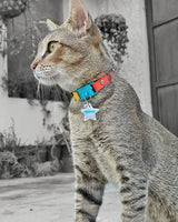 Cat Reflective Collar Charm - Heart