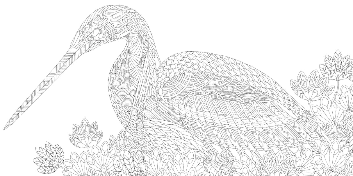 Book - Birds Pocket Colouring Book