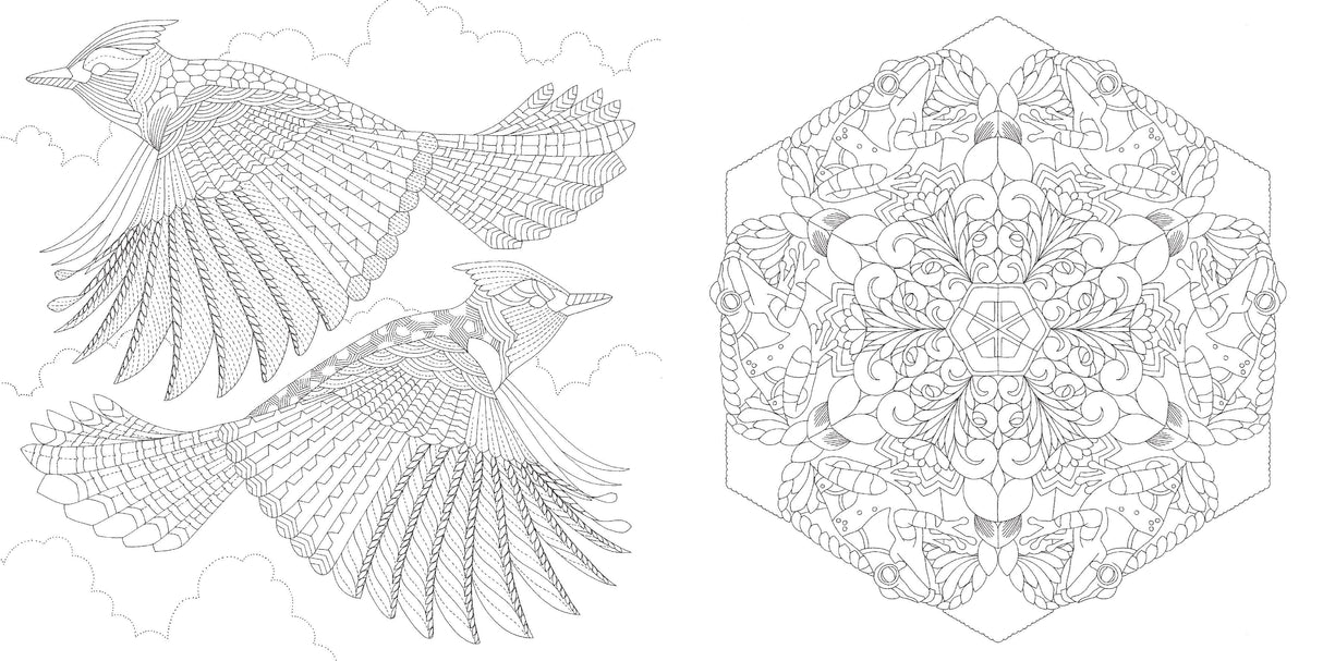 Book - Birds Pocket Colouring Book