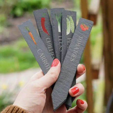 Slate Plant Markers for Vegetables