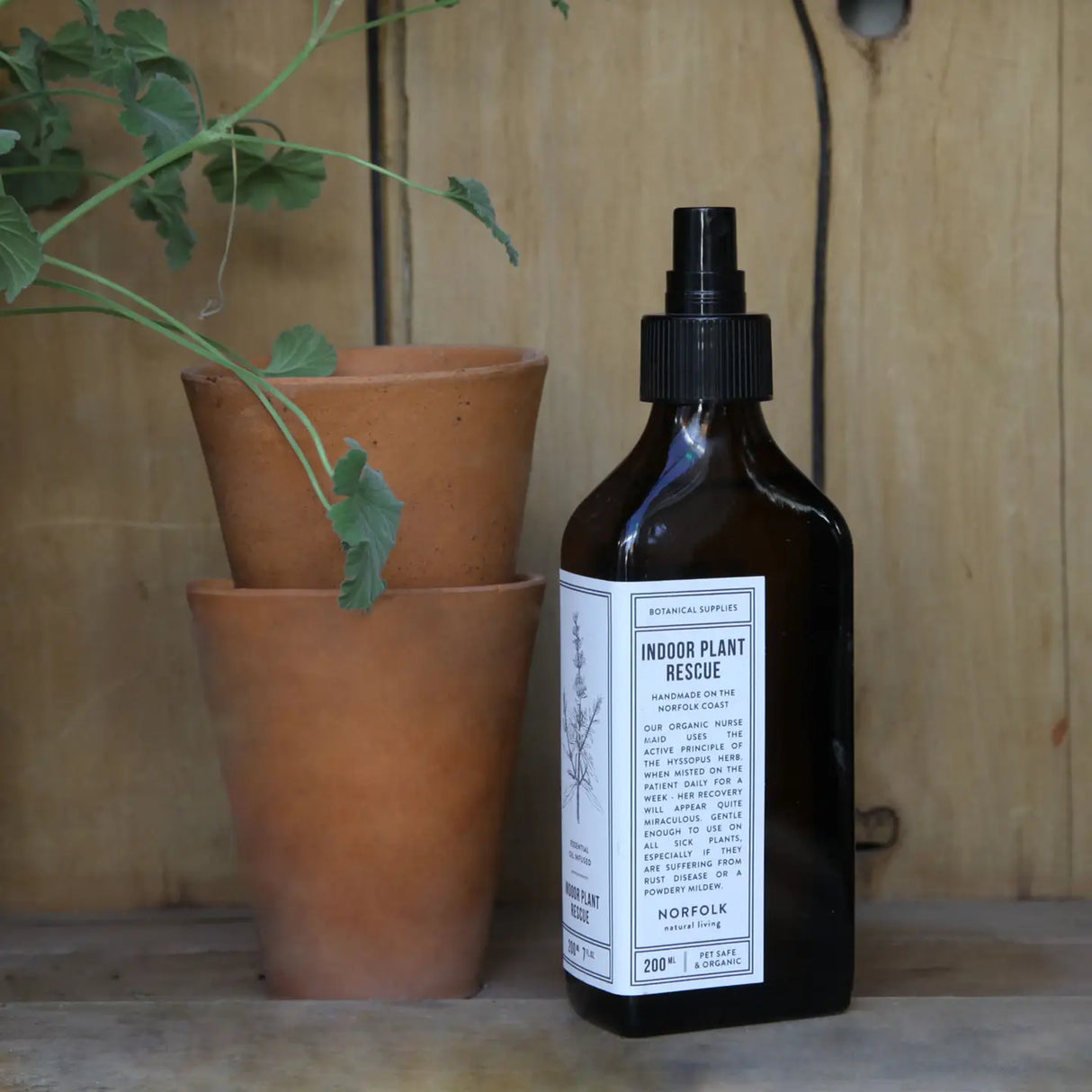 Houseplant Care Kit Hamper