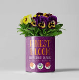 Grow Your Own Flowers Kit