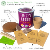 Grow Your Own Flowers Kit