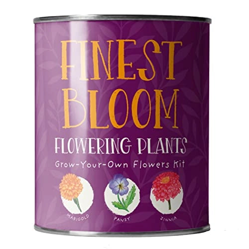 Grow Your Own Flowers Kit