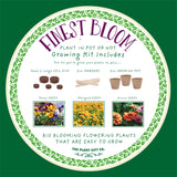 Grow Your Own Flowers Kit