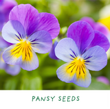 Grow Your Own Flowers Kit
