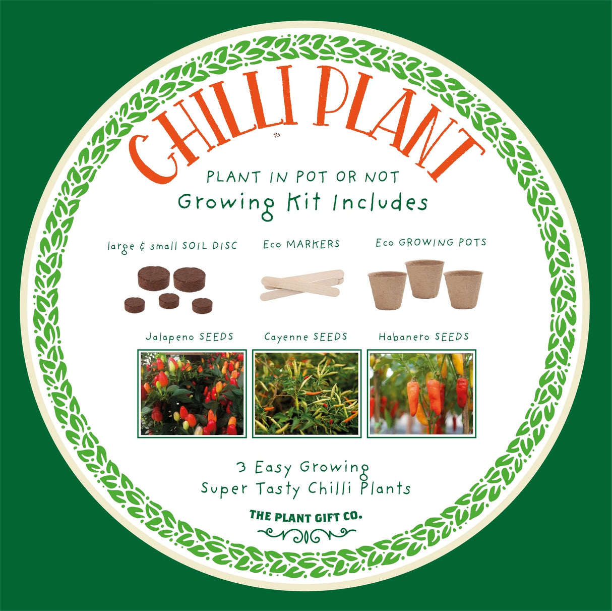 Grow a Chilli Plant Kit