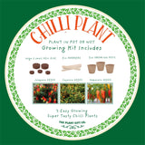 Grow a Chilli Plant Kit