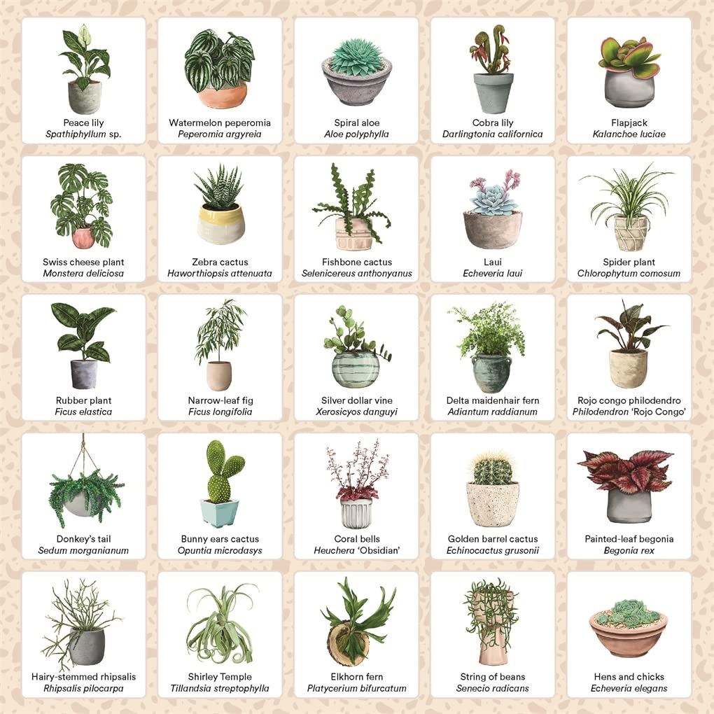 Plant Bingo