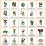 Plant Bingo