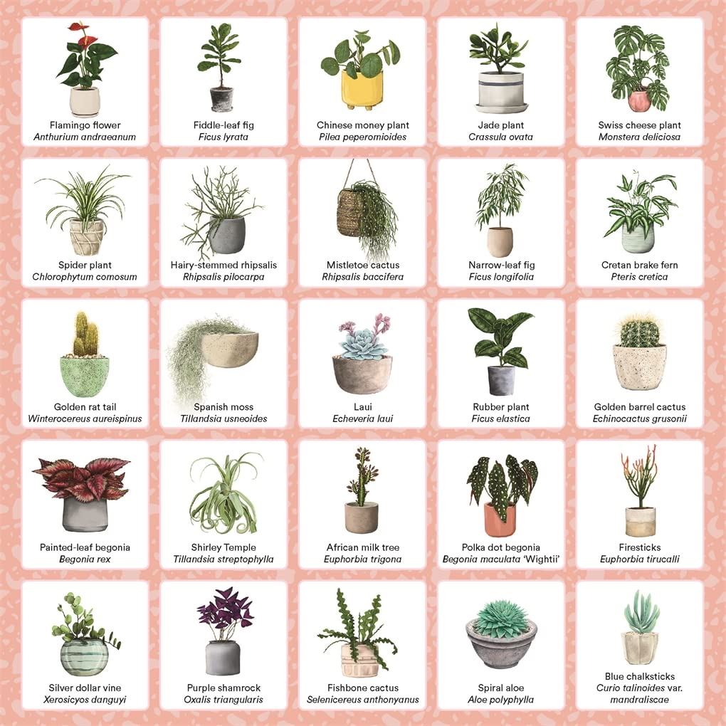 Plant Bingo