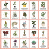 Plant Bingo