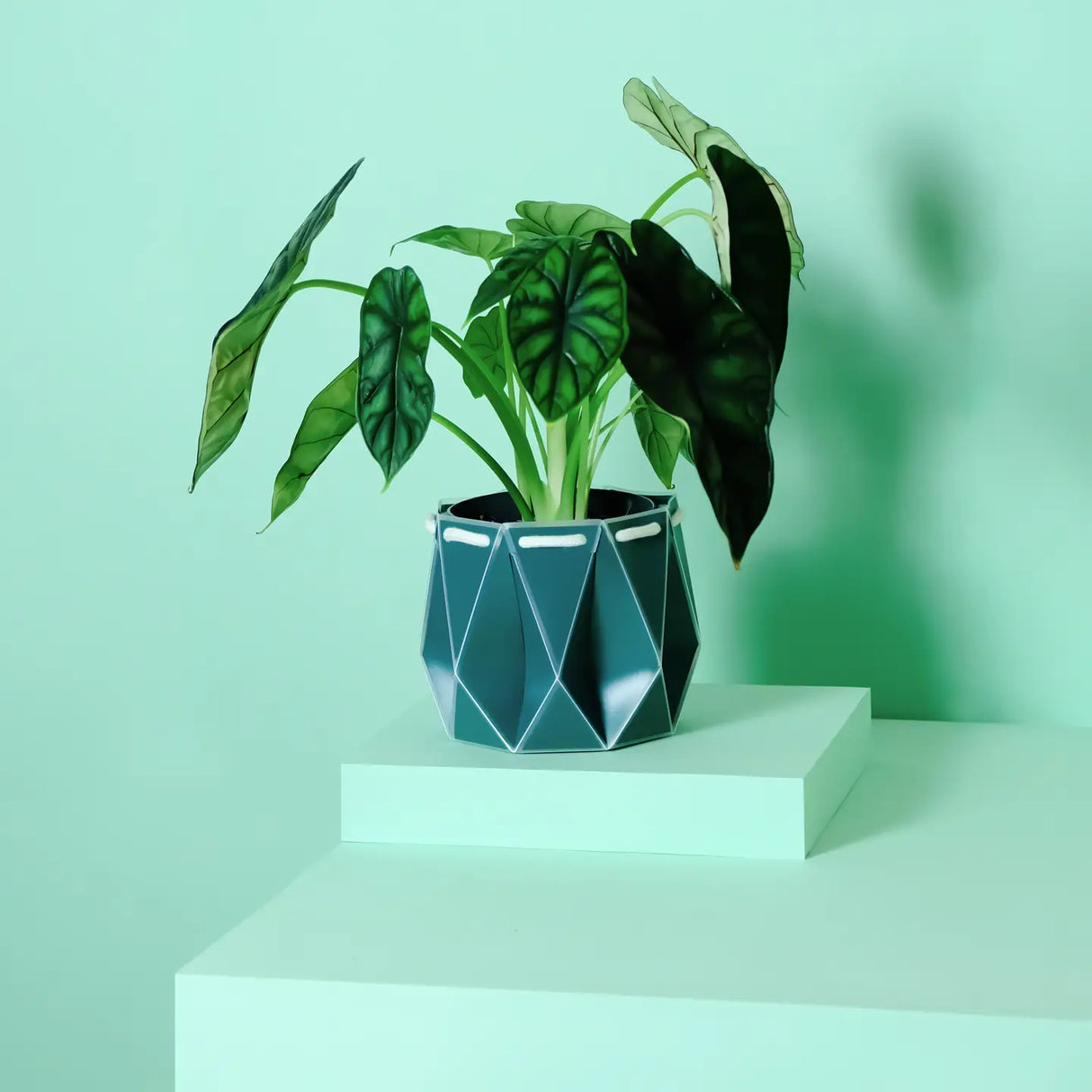 Self-Watering Plant Pot