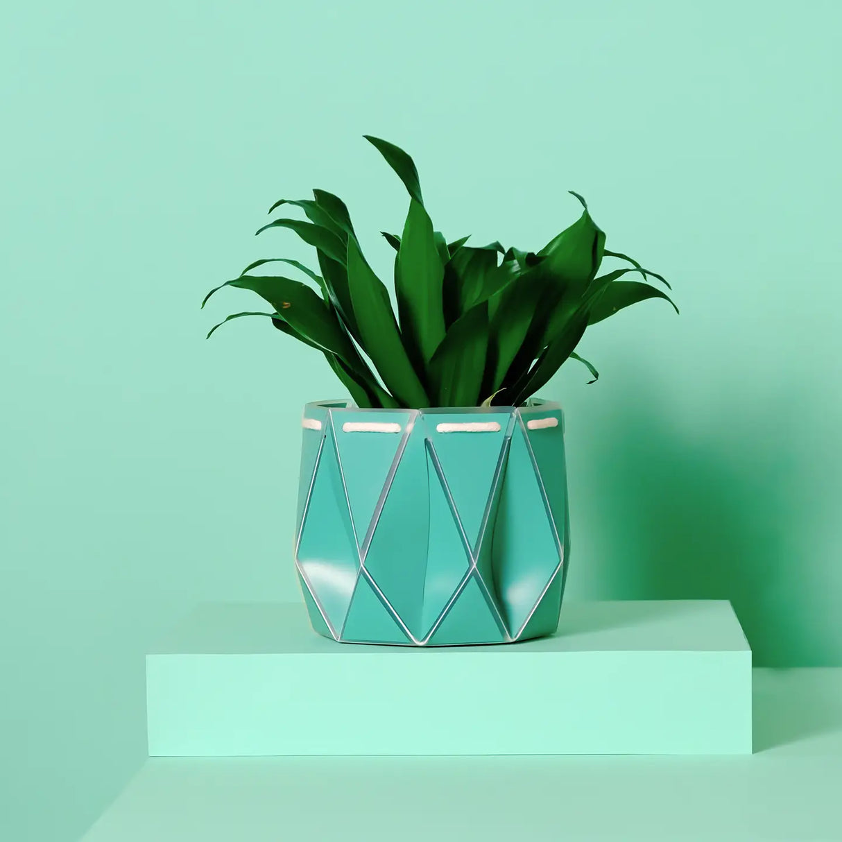 Self-Watering Plant Pot