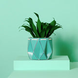 Self-Watering Plant Pot