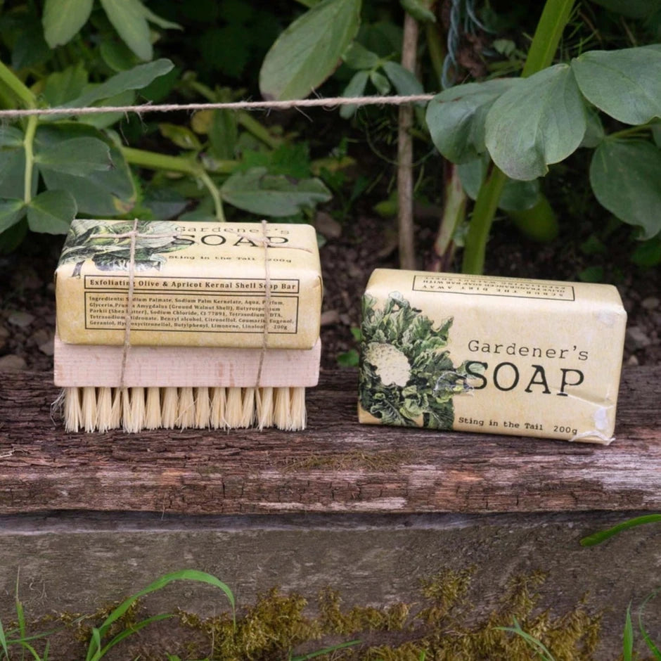 Gardener's Olive Soap Bar & Nail Brush