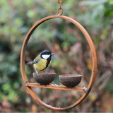 Metal rusted bird feeder