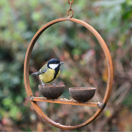 Metal rusted bird feeder