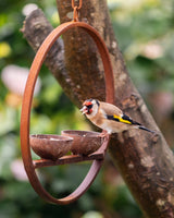 Hanging Metal Double Bird Feeder