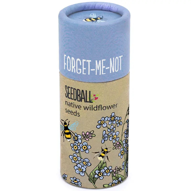 Wildflower Seedball tube - Cornflower