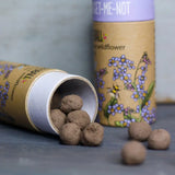 Wildflower Seedball tube - Cornflower