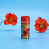 Wildflower Seedball tube - Forget-me-not