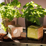 Chef’s Kitchen Wooden Cube Herb Garden