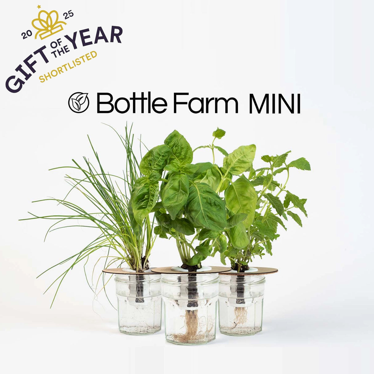 Bottle Garden - Indoor Growing Kit