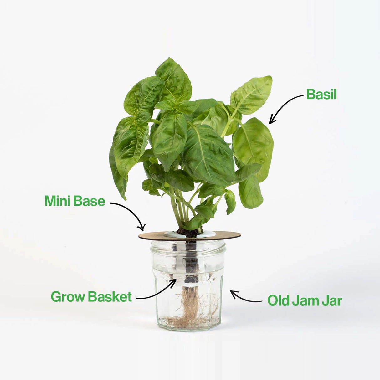 Bottle Garden - Indoor Growing Kit