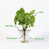 Bottle Garden - Indoor Growing Kit