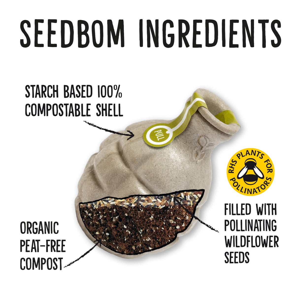 Bee Seedbom