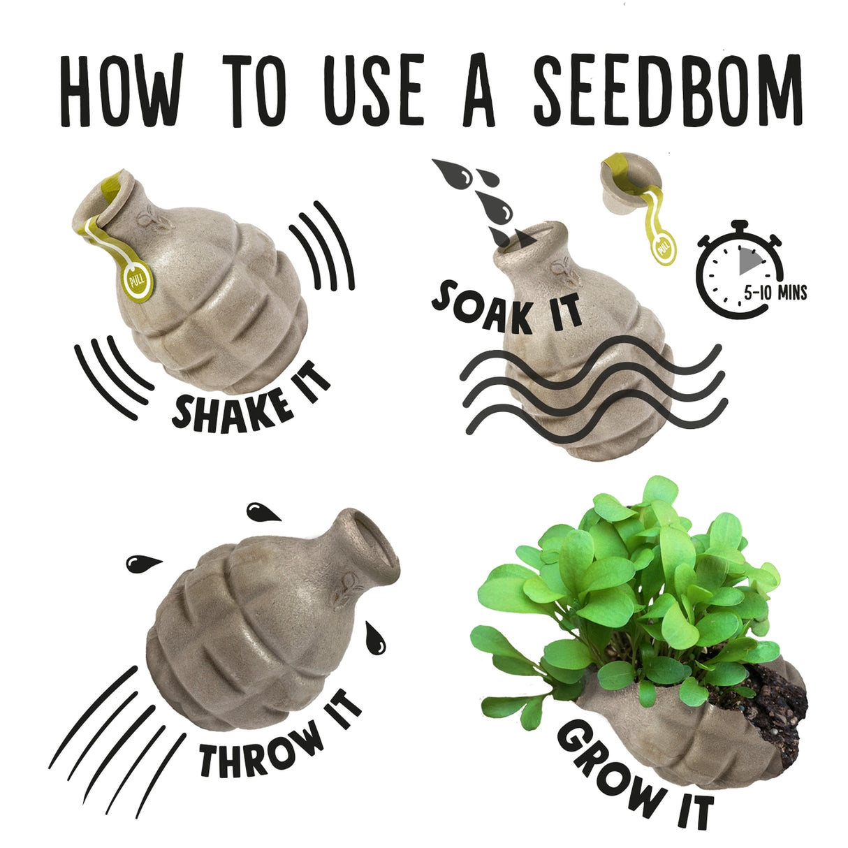 Bee Seedbom